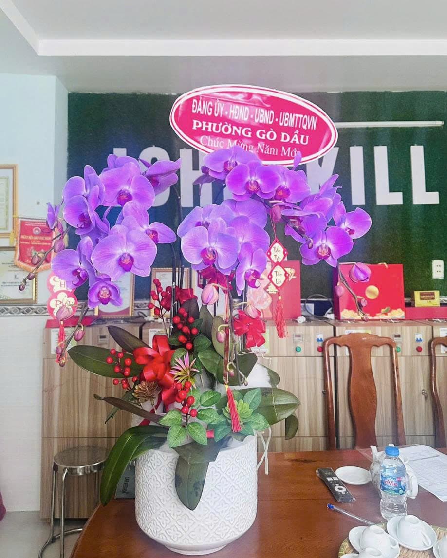 ICHI chúc Tết 2